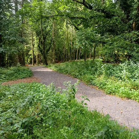 Tirchonaill Townhouse *