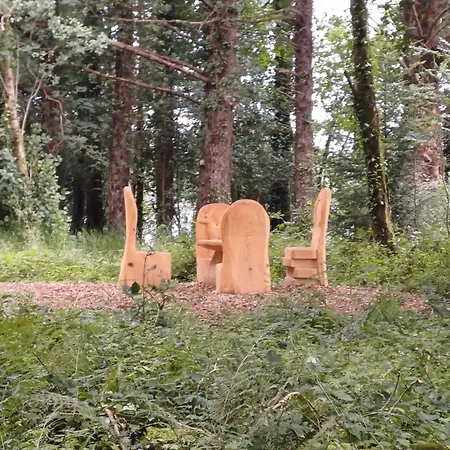 Tirchonaill Townhouse *